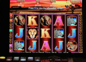 抢庄斗牛app2024最新版